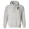 Heavy Blend™ Hooded Sweatshirt Thumbnail