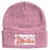 Knit Beanie Thumbnail